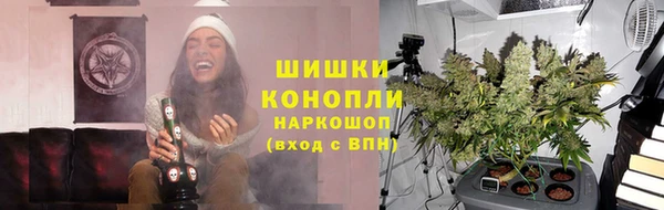 ешки Анива
