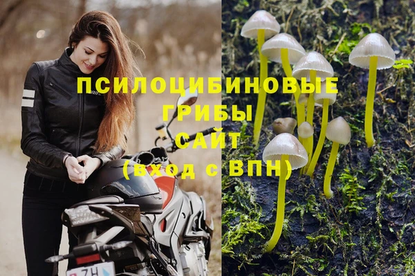 крисы Верхний Тагил