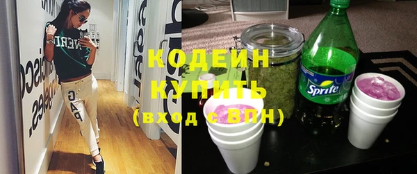 крисы Верхний Тагил