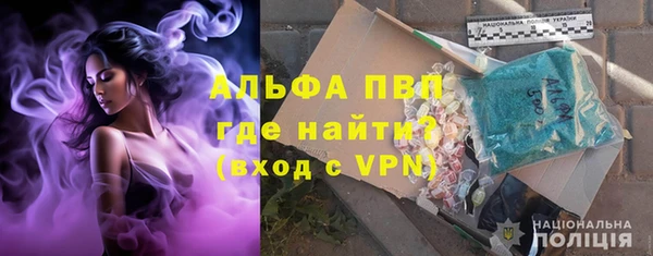 молекула духа Анжеро-Судженск