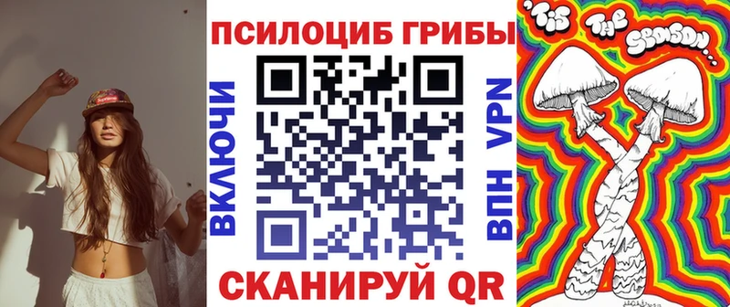 Псилоцибиновые грибы мухоморы  купить наркоту  Вытегра 